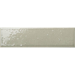 RD-003 Gray Gloss RIAD